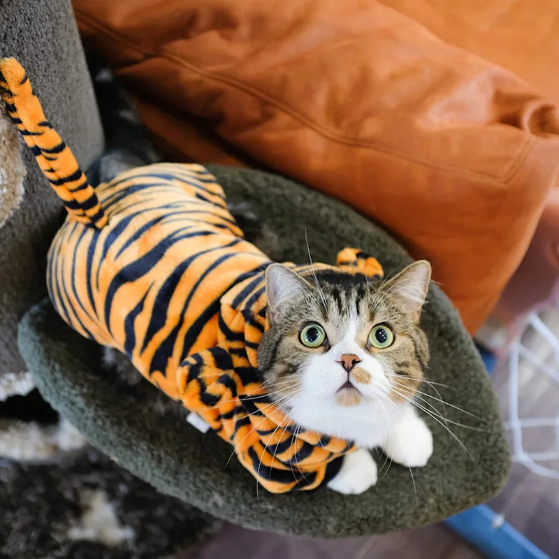 Macacão  para Animais