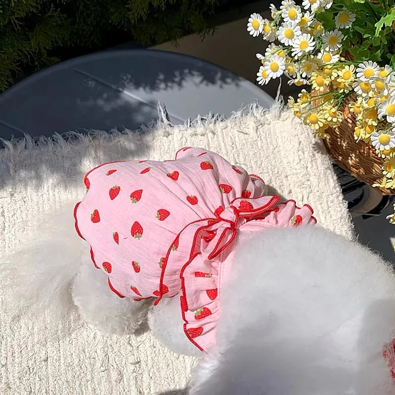 Vestido Morango para Cães