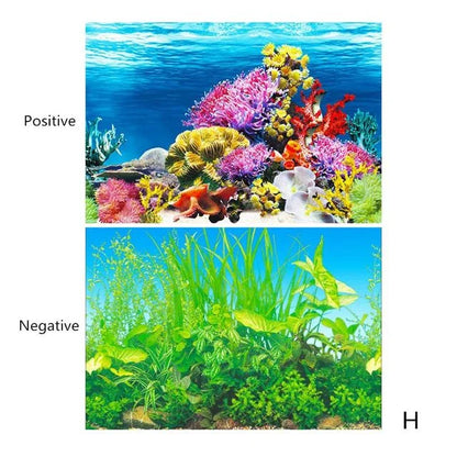 Decoração de Fundo para Aquário 3D