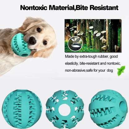 Bola Divertida para Cães