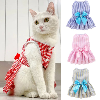 Vestido de Princesa para Gatos