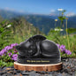 Urna Memorial para Pets
