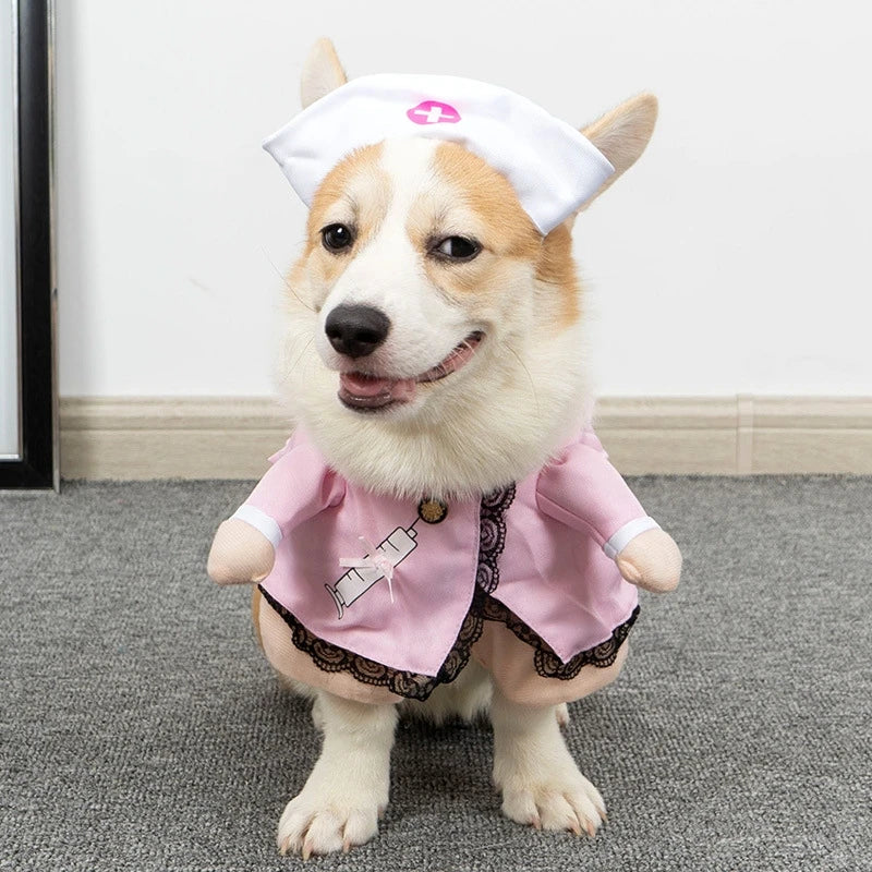 Roupas Divertidas para Gatos e Cães