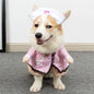Roupas Divertidas para Gatos e Cães